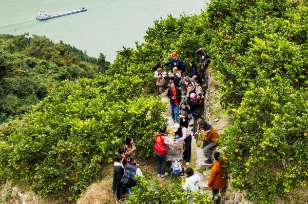 c4859677-3391-43e6-805c-64bf329d49f1_l