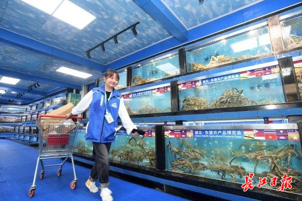 1e9a14c71b6ad1a49365ebe64c9481d0