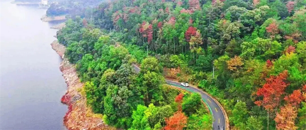 640_wx_fmt=jpeg&from=appmsg&wxfrom=5&wx_lazy=1&tp=webp (3)