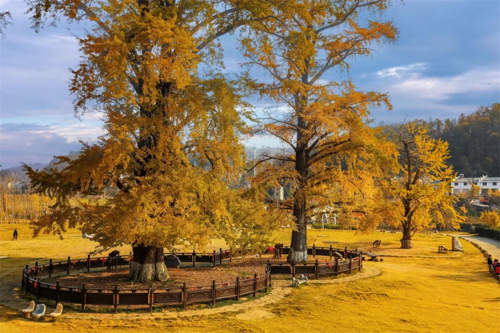 640_wx_fmt=jpeg&from=appmsg&wxfrom=5&wx_lazy=1&tp=webp (4)