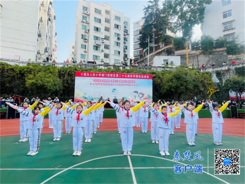 微信图片_20251120172403_787_37_副本