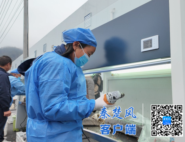 微信图片_20251121161310_副本