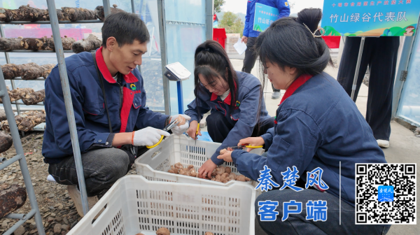 微信图片_20251121161315_副本