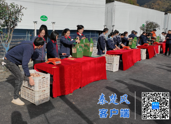 微信图片_20251121161322_副本