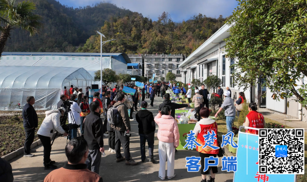 微信图片_20251121162243_副本