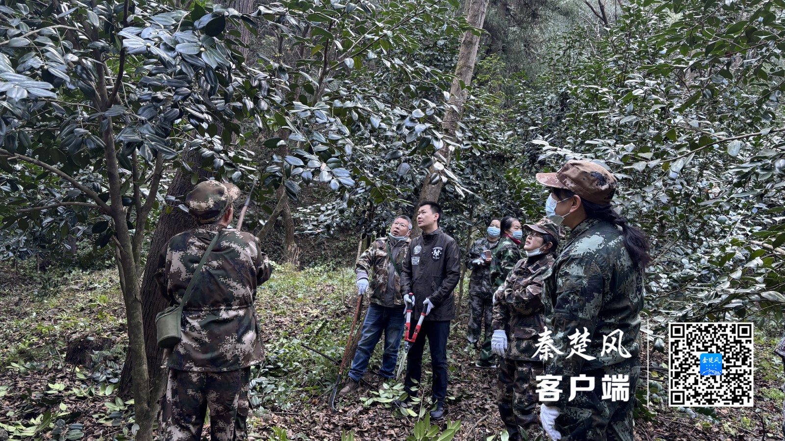 B7215D2233034F77C7BB4F3C3C6C2355