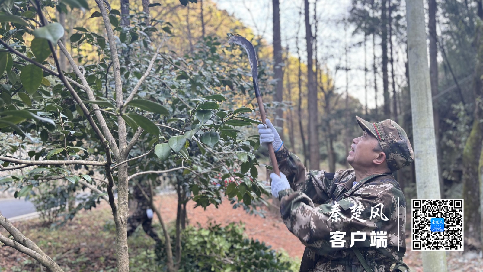 CD7AA6AC0640F30E210C8BD099EBF8CC