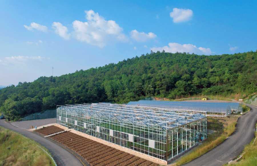 XxjxzxC000004_20251120_CBMFN0A003