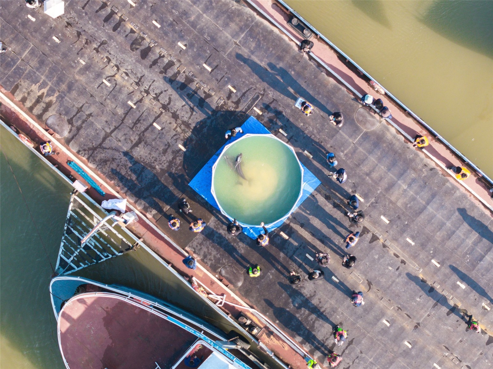 23e6337b6cba064435408bed3355c3c5