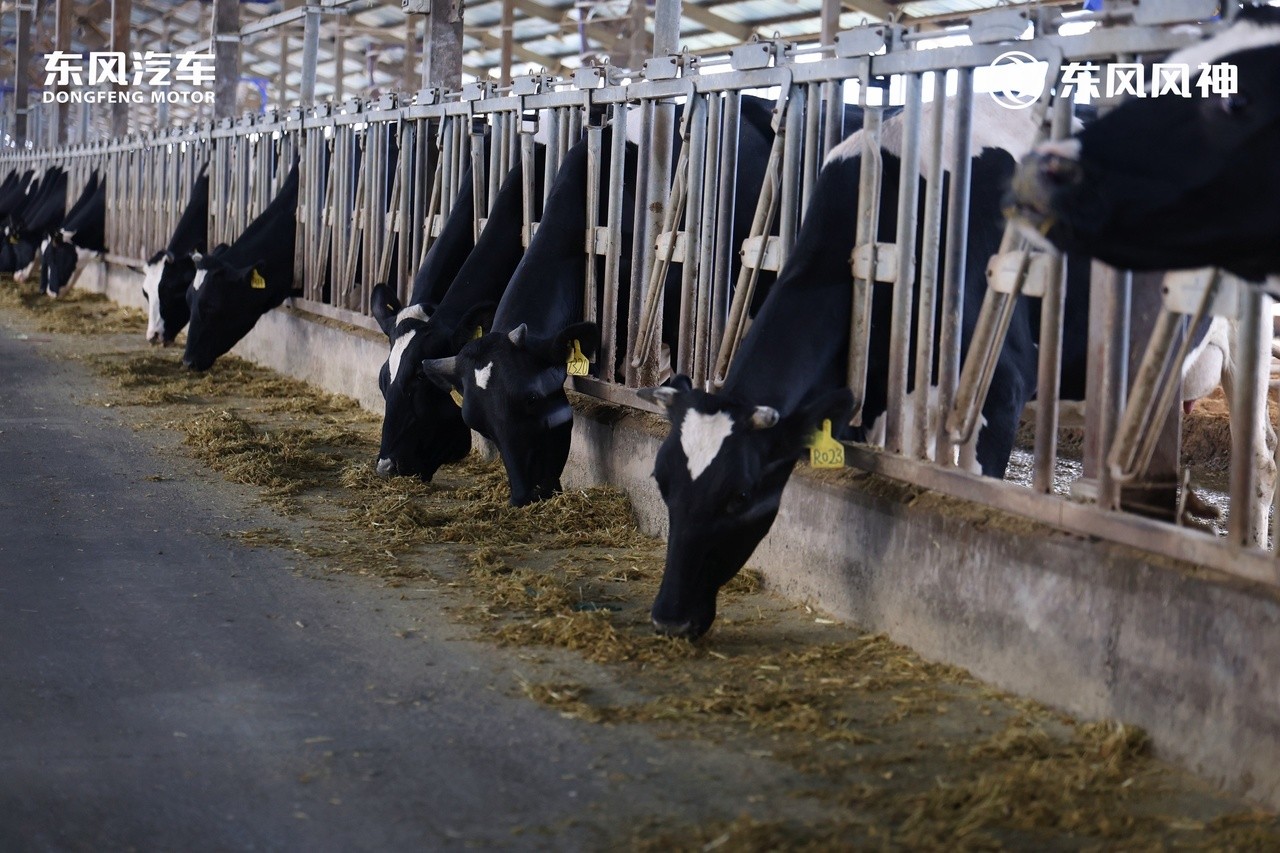 微信图片_20251123202528_137_3