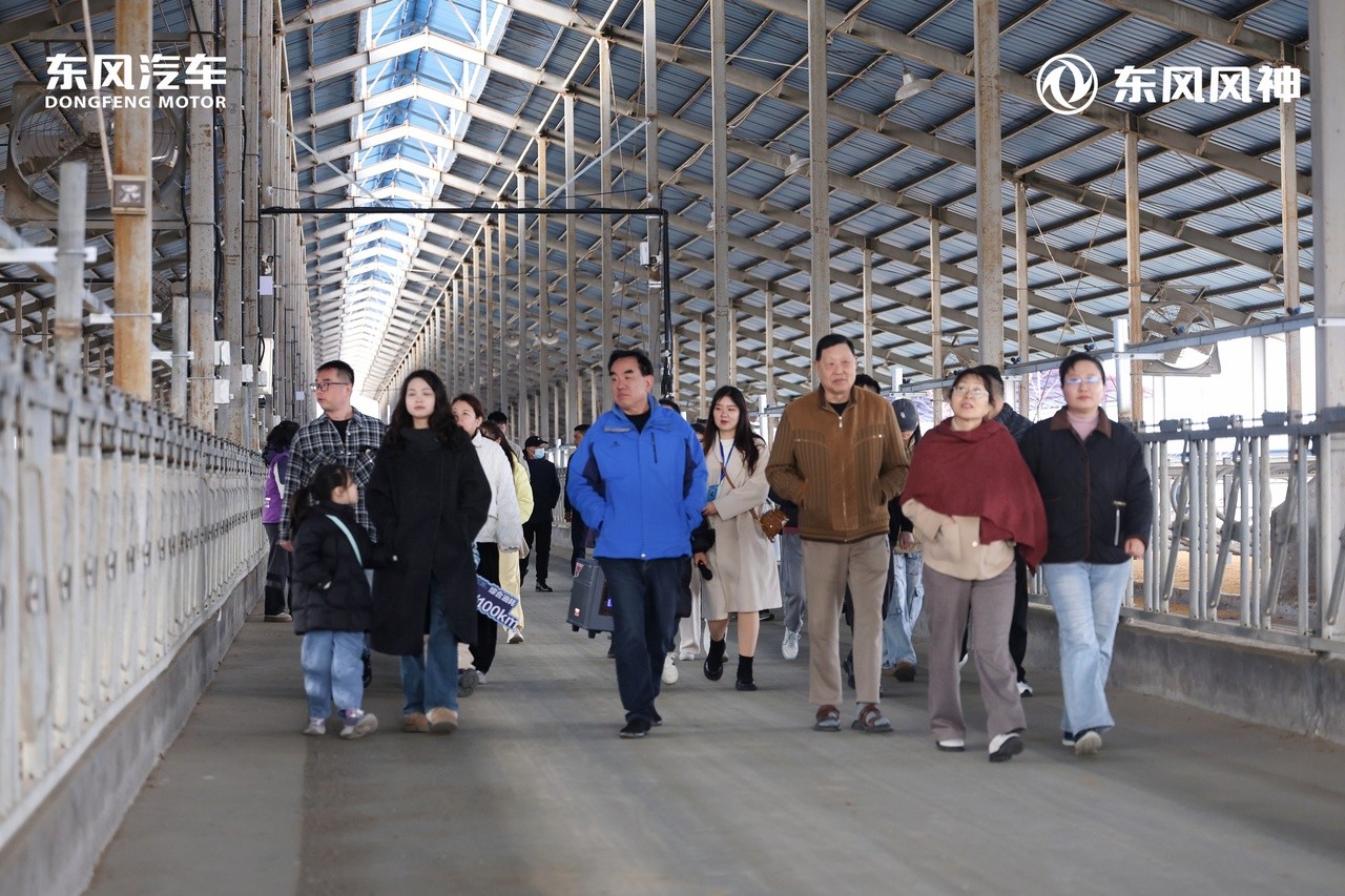 微信图片_20251123203727_153_3