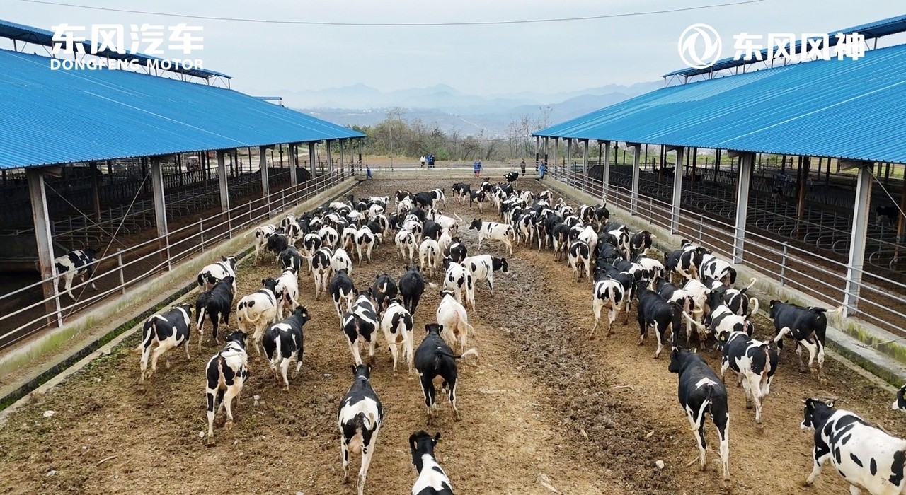 微信图片_20251123204145_156_3