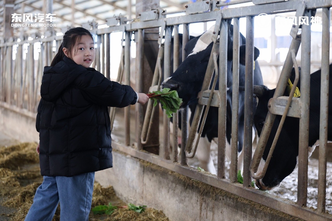 微信图片_20251123202527_136_3