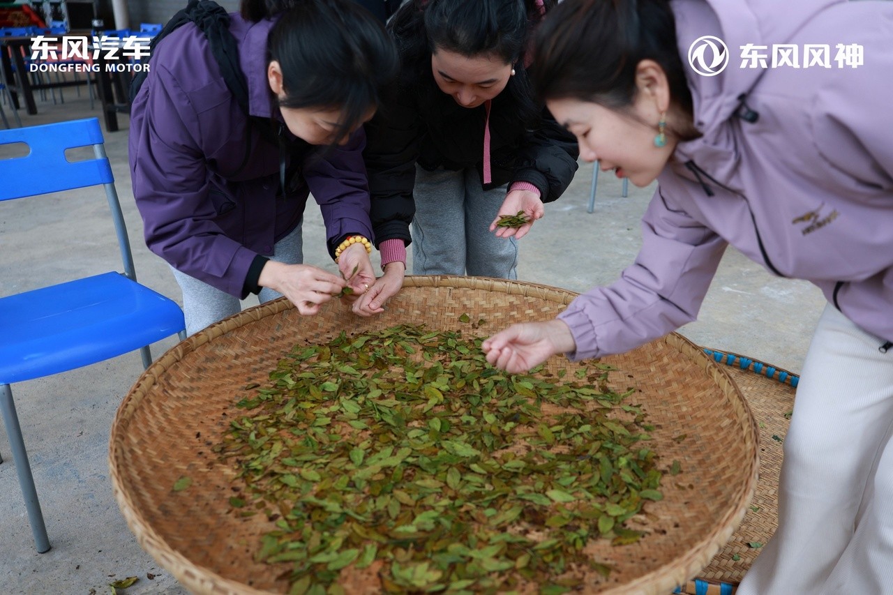 微信图片_20251123202533_141_3