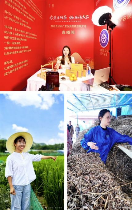 微信图片_2025-11-24_125308_388