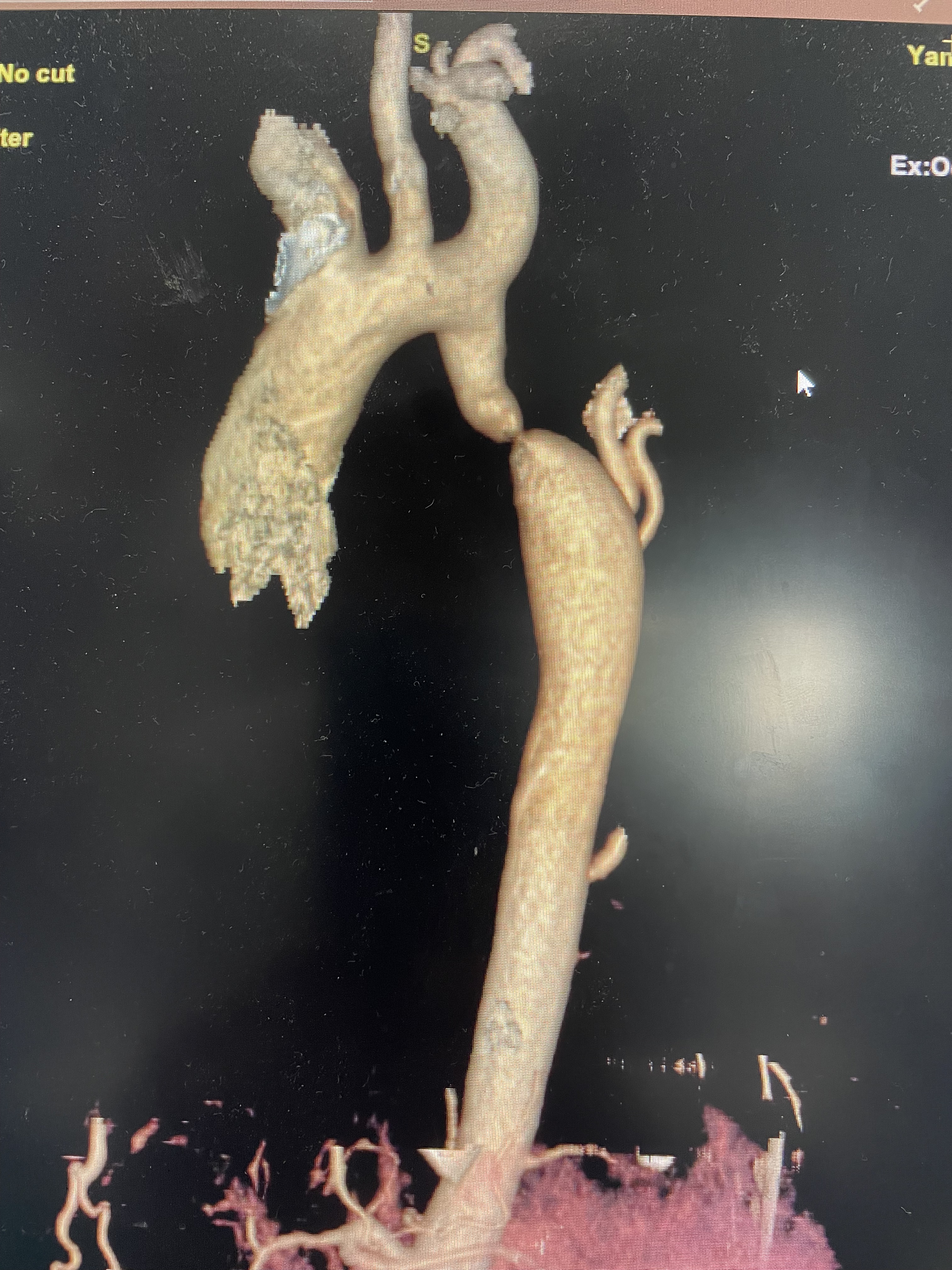 A31488FCC17882921E12A3A481AE7521