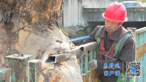 微信图片_2025-11-25_125905_300