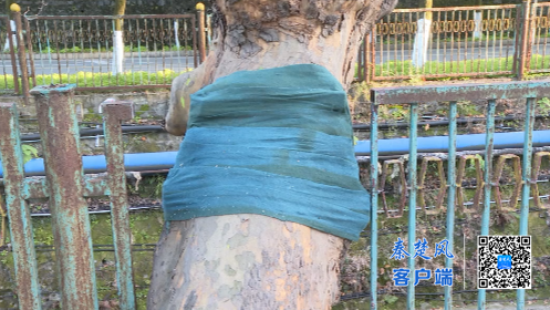 微信图片_2025-11-25_125841_740