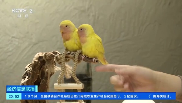 b2a7a0456ab87016430b4d4d9d45c265