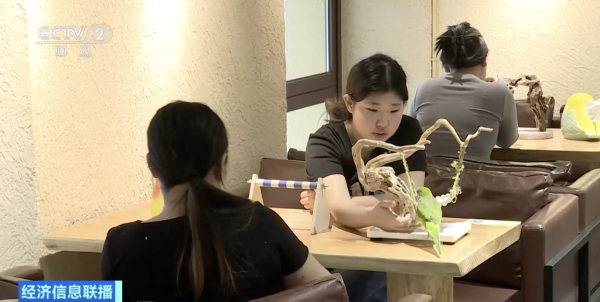 1892d10674214a47b6754c2d9aeeaf05