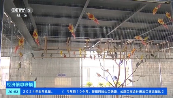 e6ebc8a4251e40ed99ec75df816aae10