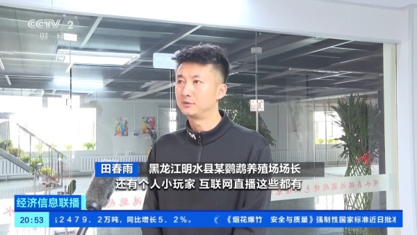 6e37a549a8710a244a27f8dbaee48955