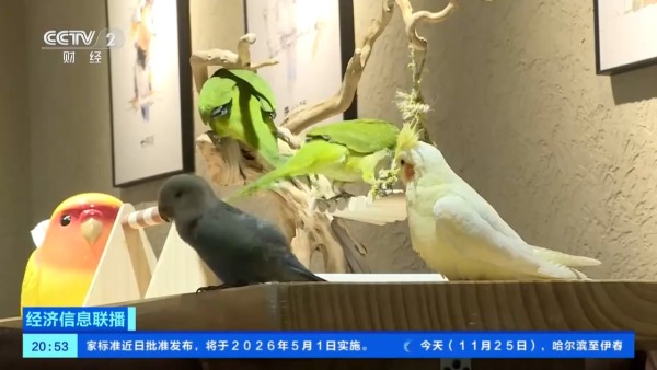 6d7aa4fee463b0b0ec3776631f0aa793