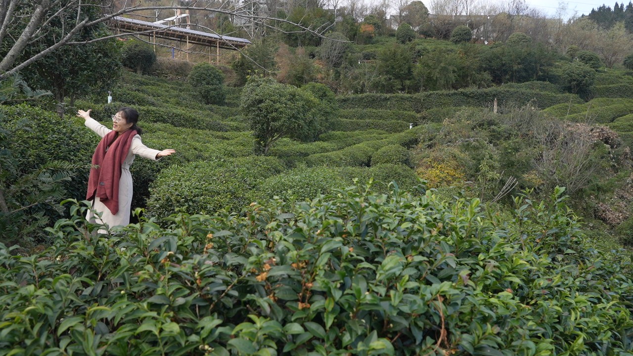 微信图片_20251126105811