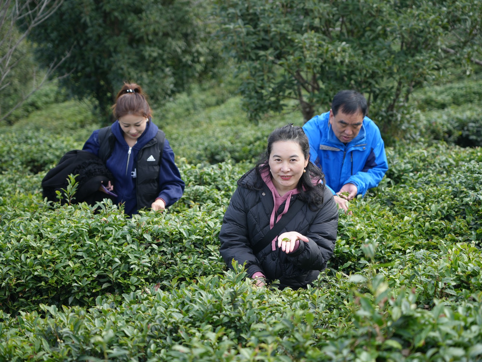 微信图片_20251126105844