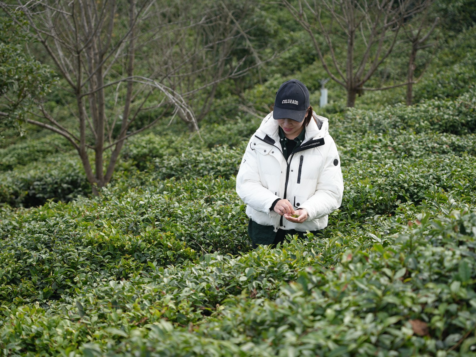 微信图片_20251126105839