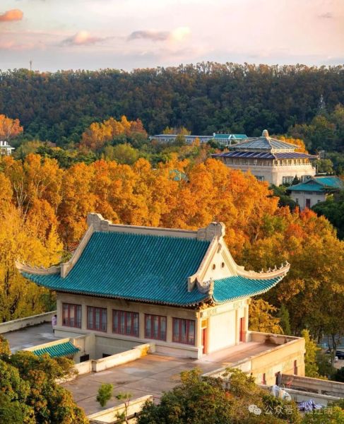 c84fdbf73008c143ef15fc0358456864