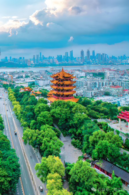 52ed89965911eda529fcf0ab515fee55