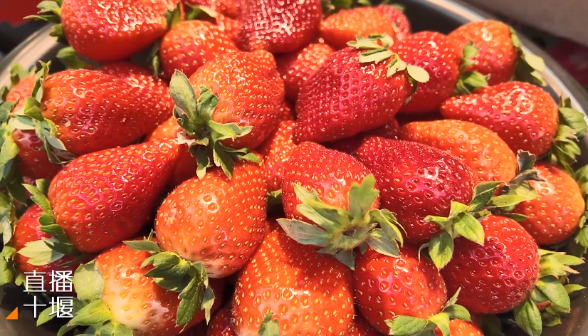 微信图片_2025-11-26_184527_420