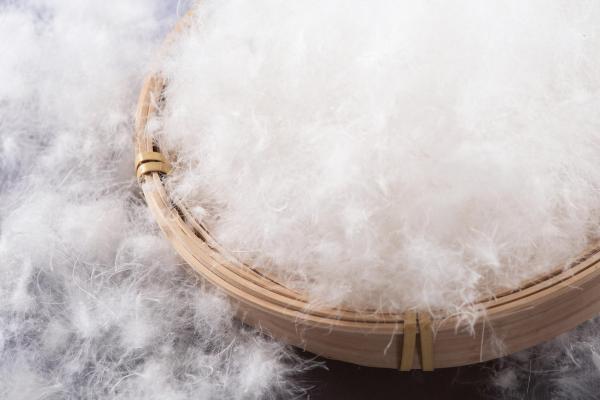 a05490182aa04cfb9f6b7c59bc9cd547