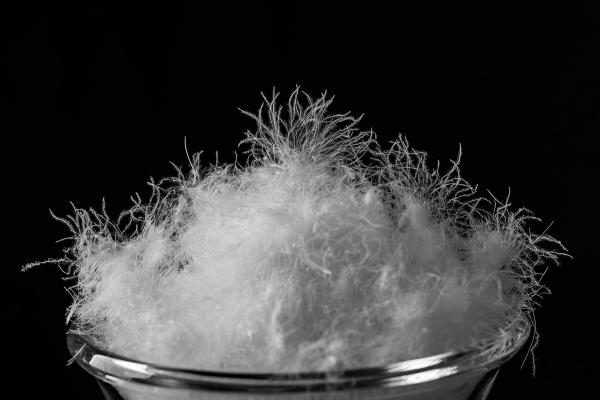 c19aa00034f444119c40b2e3c3476546