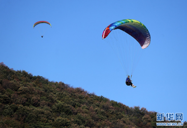 229e3f4a139a4fefa1c0ed3ce532b0b8