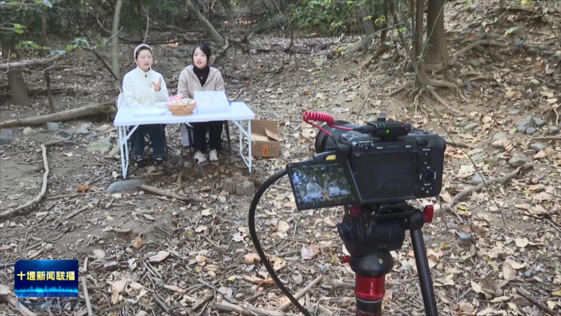 “区域消费中心+国家物流枢纽”双轮驱动   现代服务业跨越发展.mp4_20251127_194022689