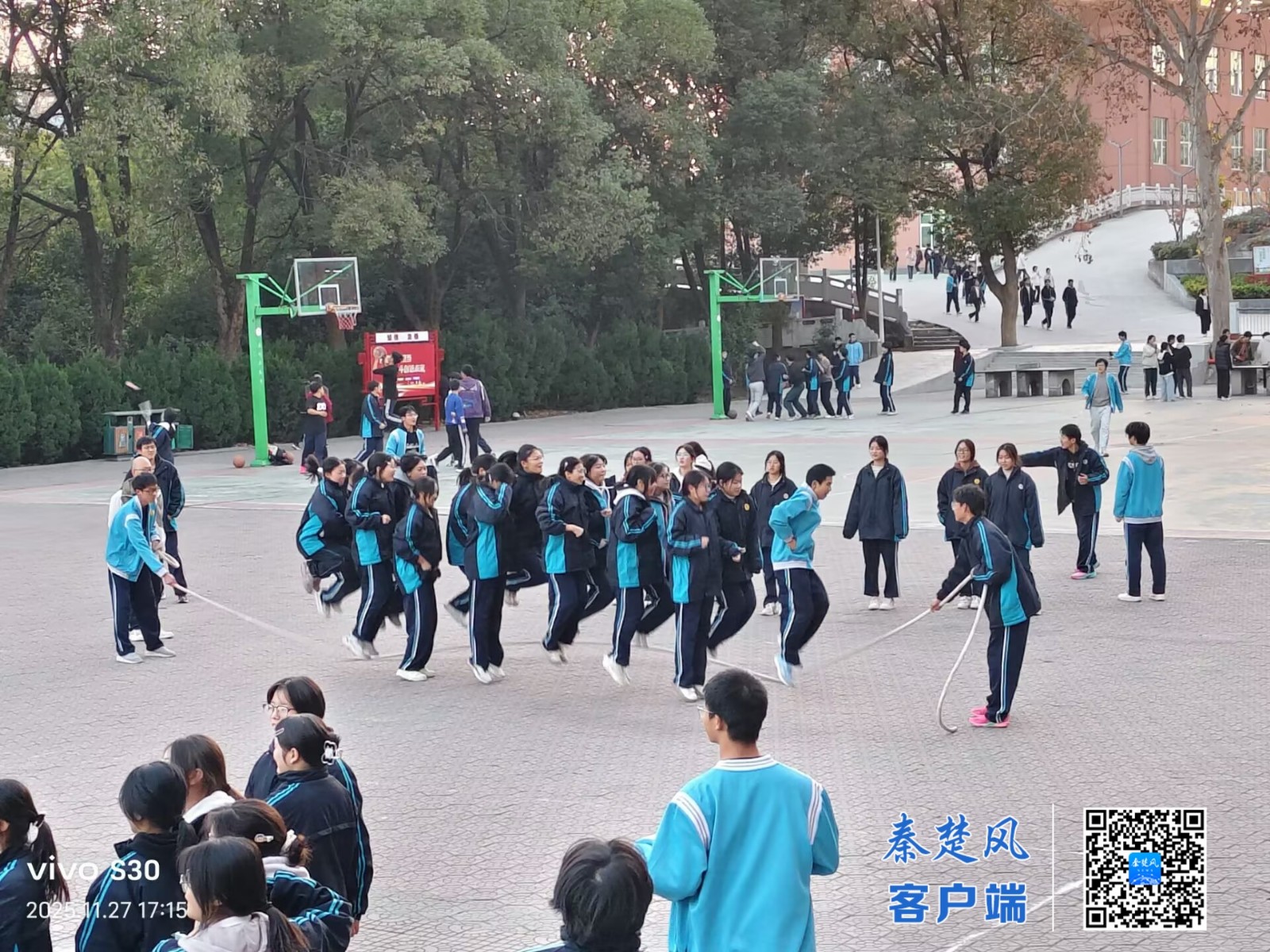 82f267d9545f2df81680ff0501c2ea6d