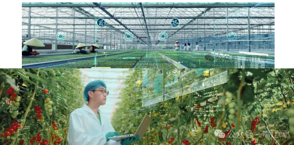 微信图片_2025-11-28_194851_763