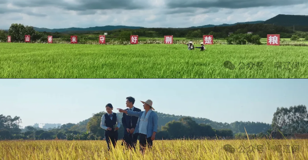 微信图片_2025-11-28_194756_772