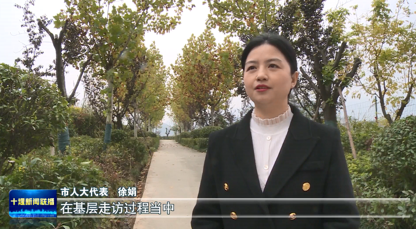 微信图片_2025-11-29_182315_716