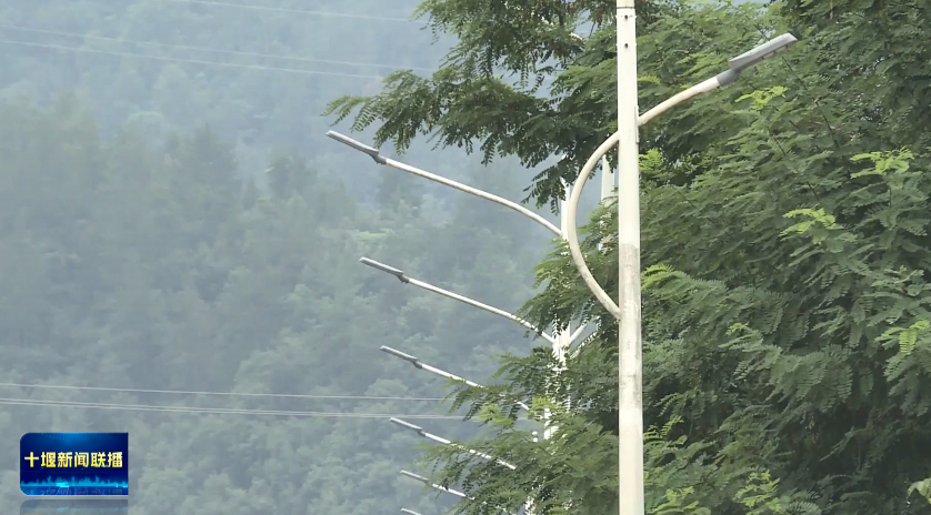 微信图片_2025-11-29_182843_142