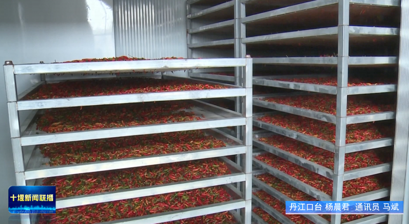 微信图片_2025-11-29_190338_534