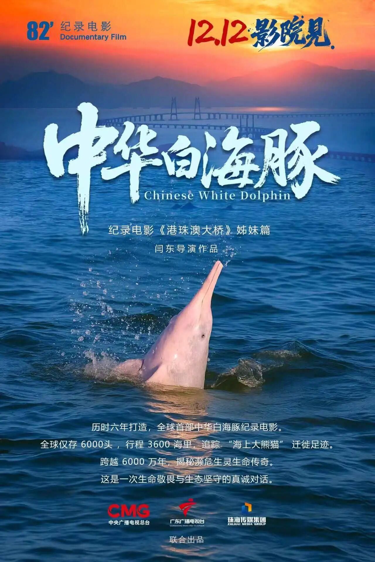 1353305e4a68790b913a1dfa7d7e553d