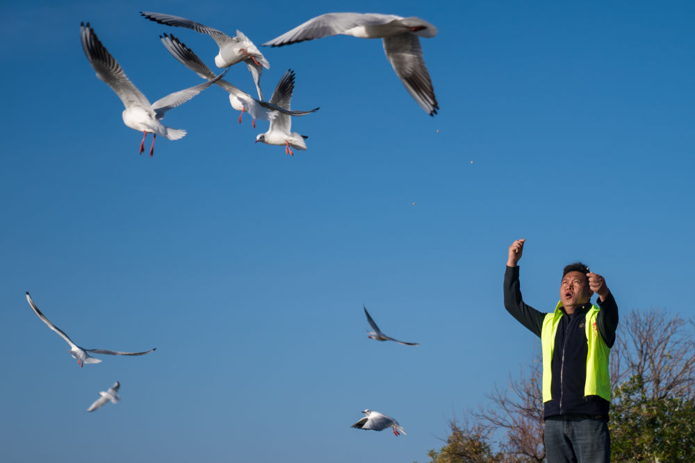 f156331bfd9846a6b3c55ba1a8603e1e