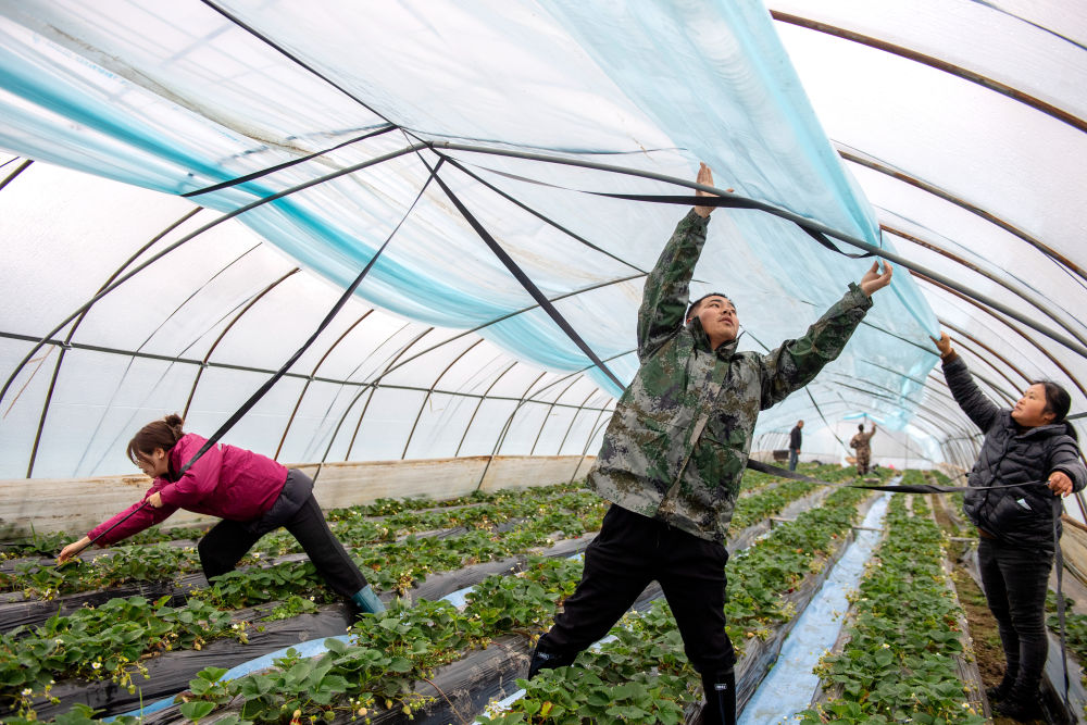 64d0938811d54b299025dcdc27b61bab