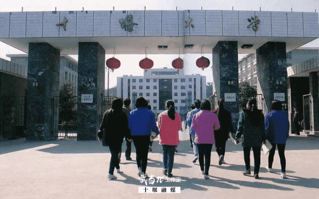 bcb2432726f50ae4cf95f7b4f0ca8fd2