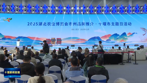 r3snEEb5CGEAAAAASUVORK5CYII=