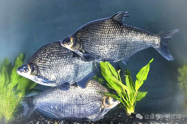 73b856f193bf3fa5d43155d10d6afd53 (1)