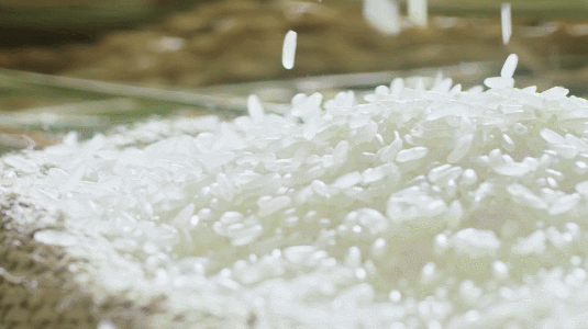 12578a9a0b1d5f4e41866d012ac5ac3e (1)